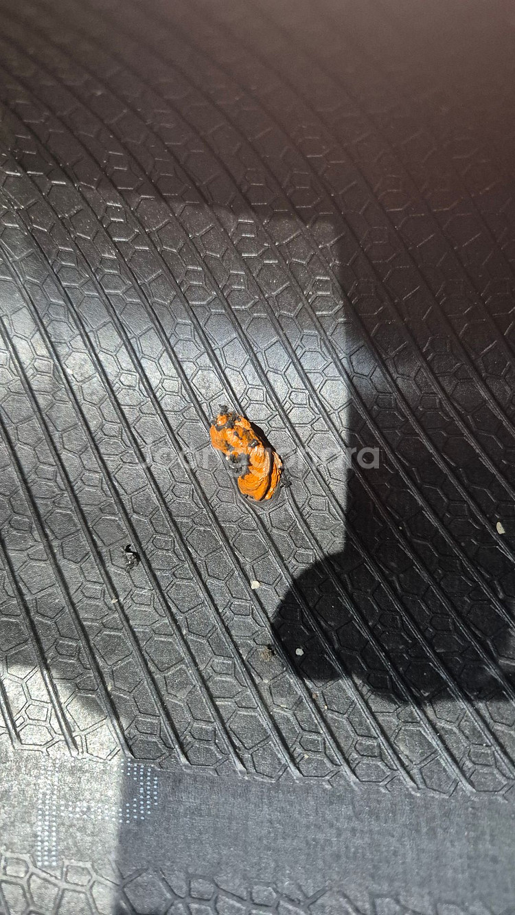 중고 타이어 225 60 17 콘티넨탈 프로콘택트TX 2256017--6