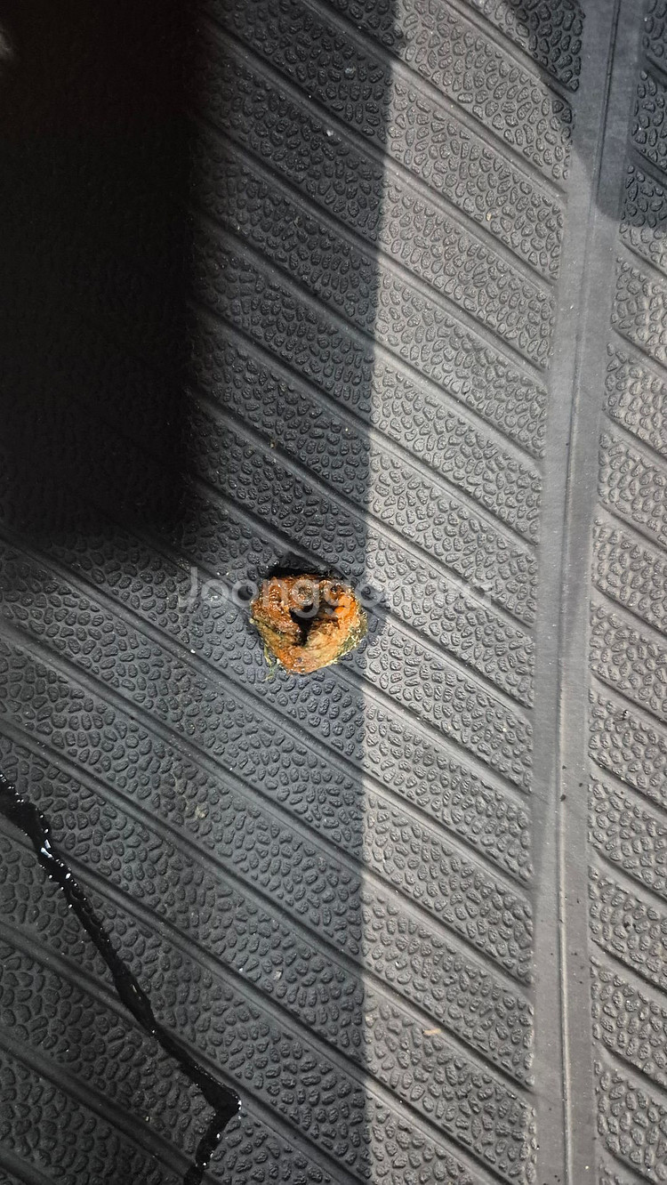 중고 타이어 245 45 19 한국 타이어 벤투스 V2AS 2454519--6