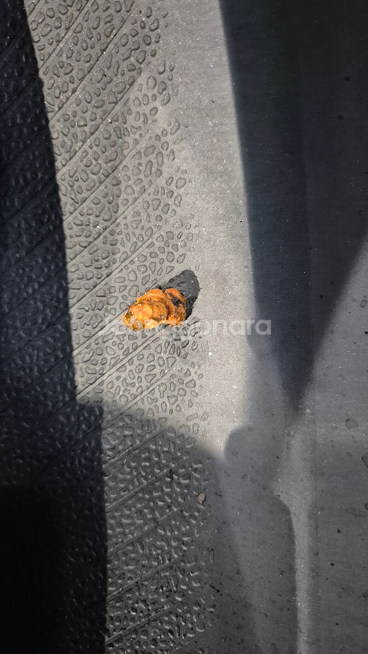 중고 타이어 245 45 19 오페라골드(구마제스티) 2454519--8