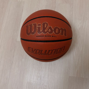 윌슨 에볼루션 농구공