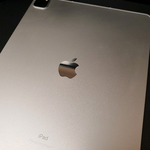 아이패드 5세대 12.9 512 셀룰러 실버