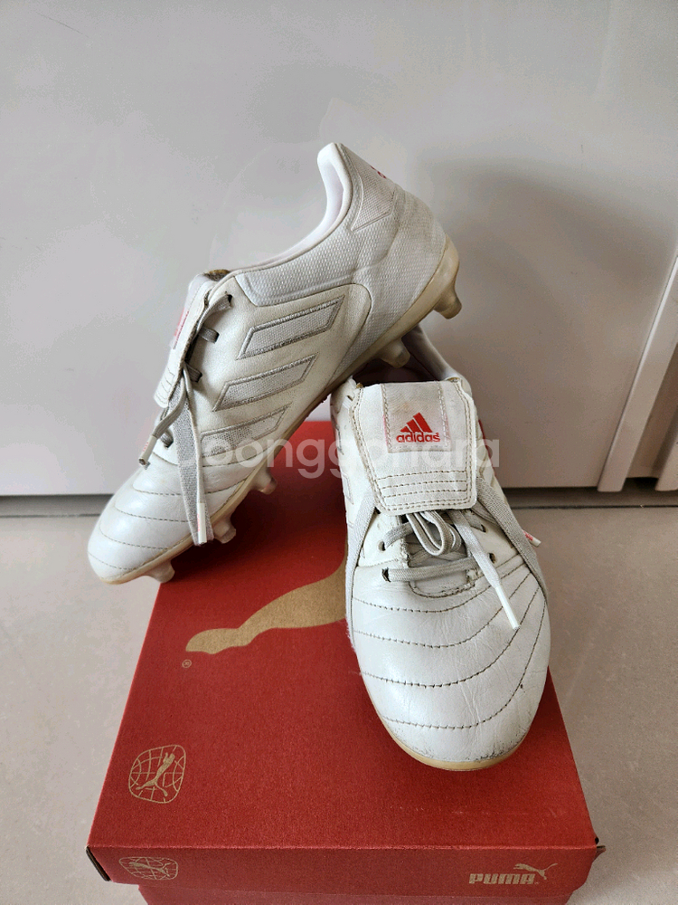 아디다스 코파 글로로 최상급FG/270mm 축구화--2