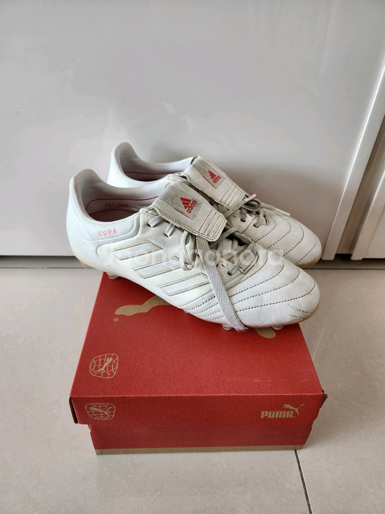 아디다스 코파 글로로 최상급FG/270mm 축구화--0