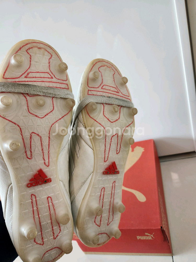 아디다스 코파 글로로 최상급FG/270mm 축구화--5