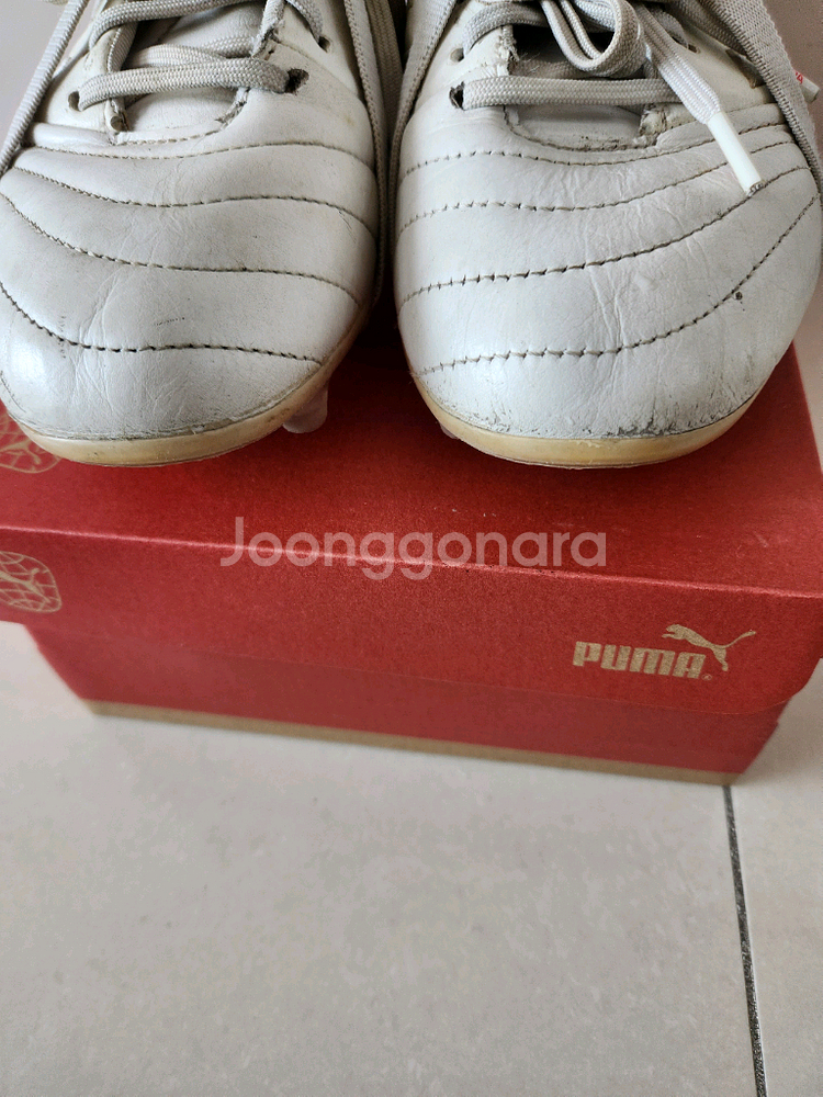 아디다스 코파 글로로 최상급FG/270mm 축구화--7