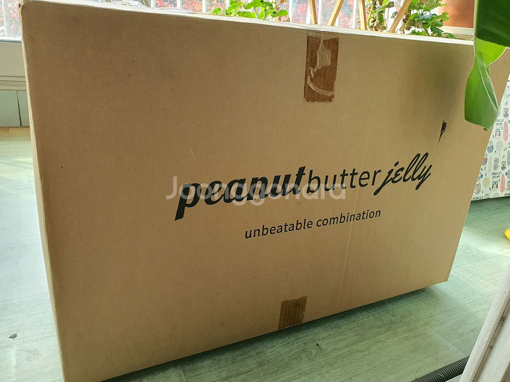 아기 바구니, 모세 바구니, 셀프촬영, 50일 촬영--2