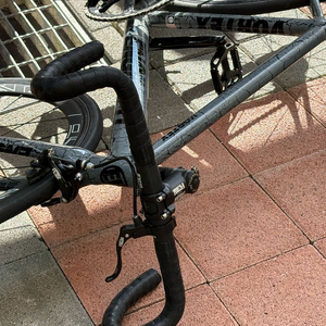 엔진11 볼텍스 2025