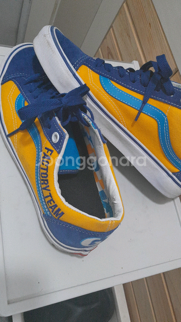 한정판 반스 GT 콜라보--0