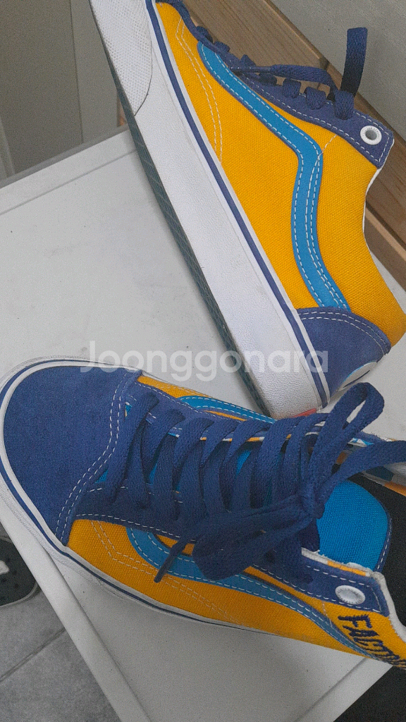 한정판 반스 GT 콜라보--5