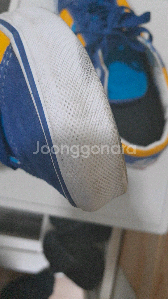 한정판 반스 GT 콜라보--4