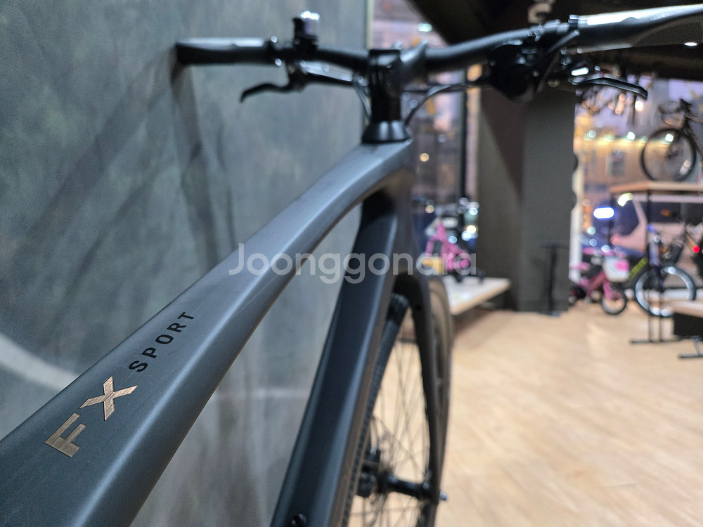 26 트렉 FX 4 카본 하이브리드 자전거 (S사이즈)--5