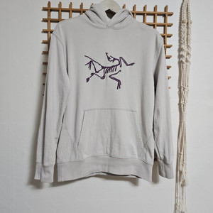 S급/아크테릭스&팔라스 사이즈 M 이미지