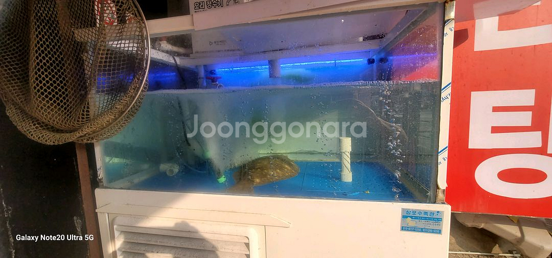 업소용 수족관--1