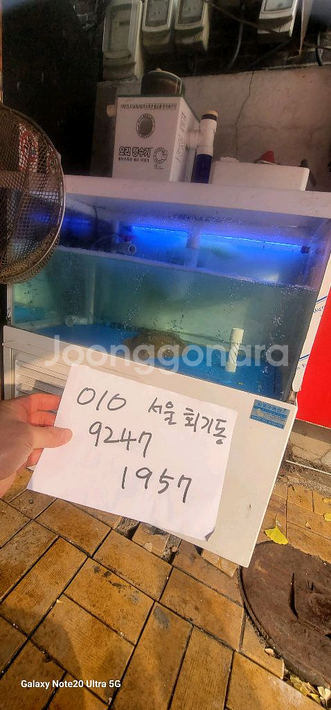 업소용 수족관--3