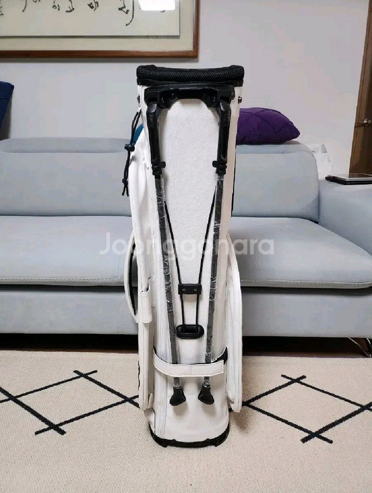 국내무료배송 골프백 캐디백 ( 말본 어뉴 지포어)--5