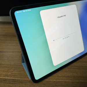 아이패드 11 프로 m5 256 wifi 블랙 + 정품커버 블루