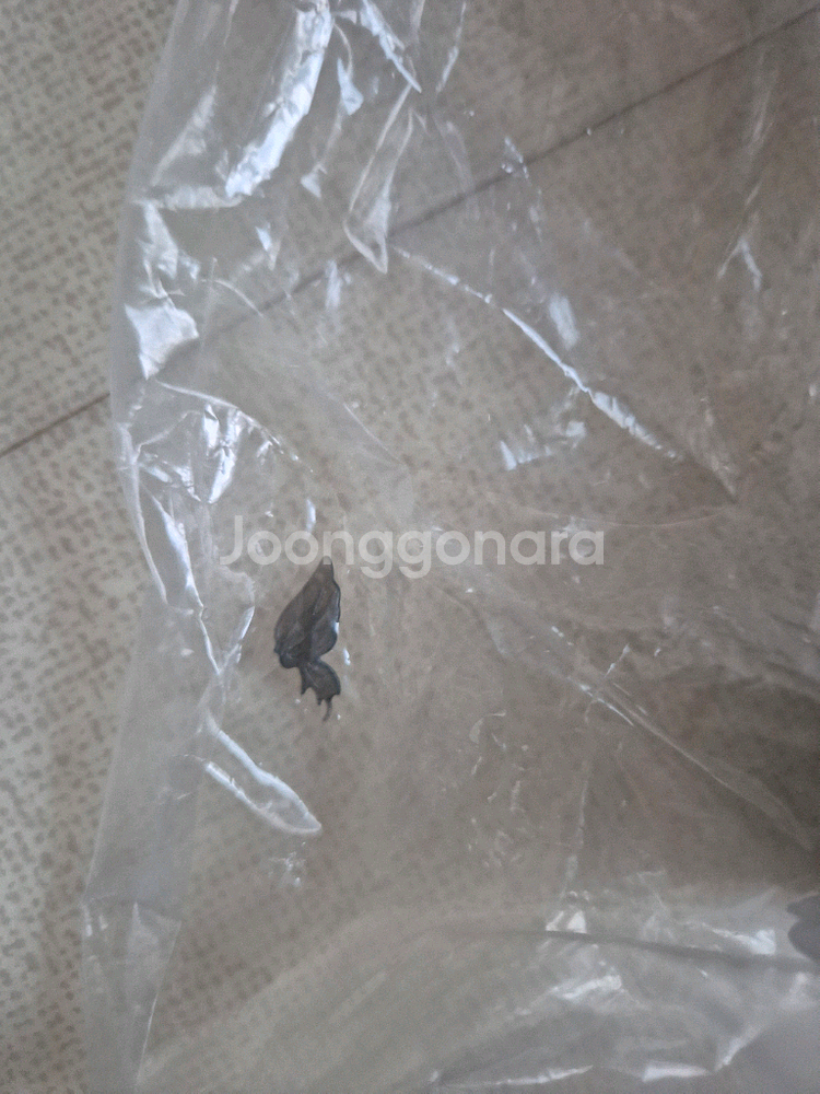 애니메이션 캐릭터 피규어--4