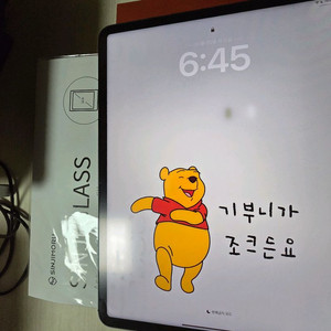 아이패드 프로 12.9 5세대 256 셀룰러