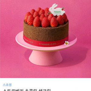 투썸플레이스 스트로베리 초콜릿 생크림 케이크 스초생 (제품 변경 가능)