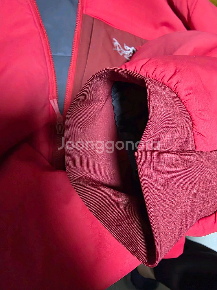 아크테릭스 프로톤 후디--4