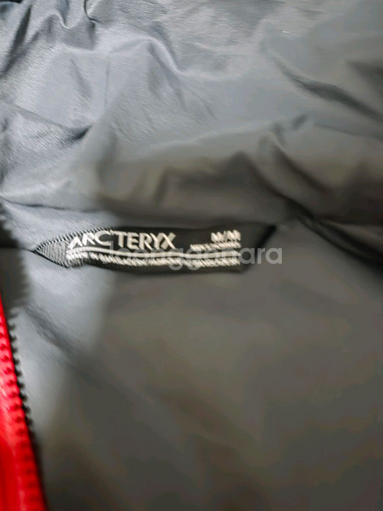 아크테릭스 프로톤 후디--2