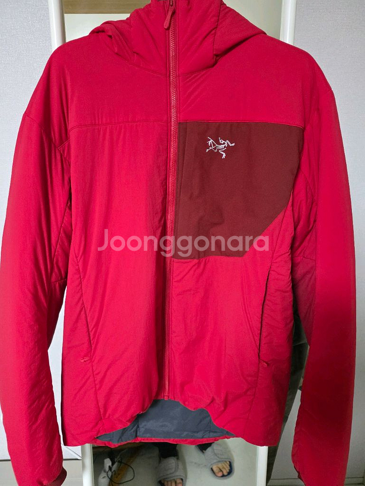 아크테릭스 프로톤 후디--0