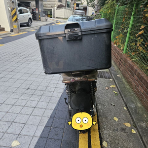 젠트로피z 2022년형