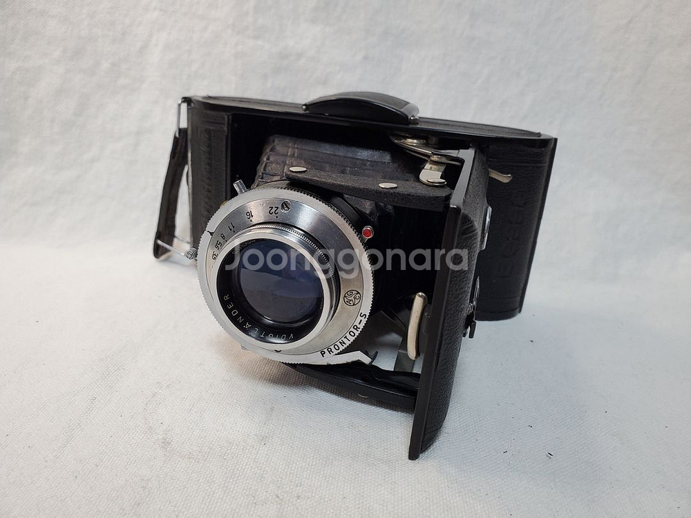 Voightlander Bessa 6x9 Format--0