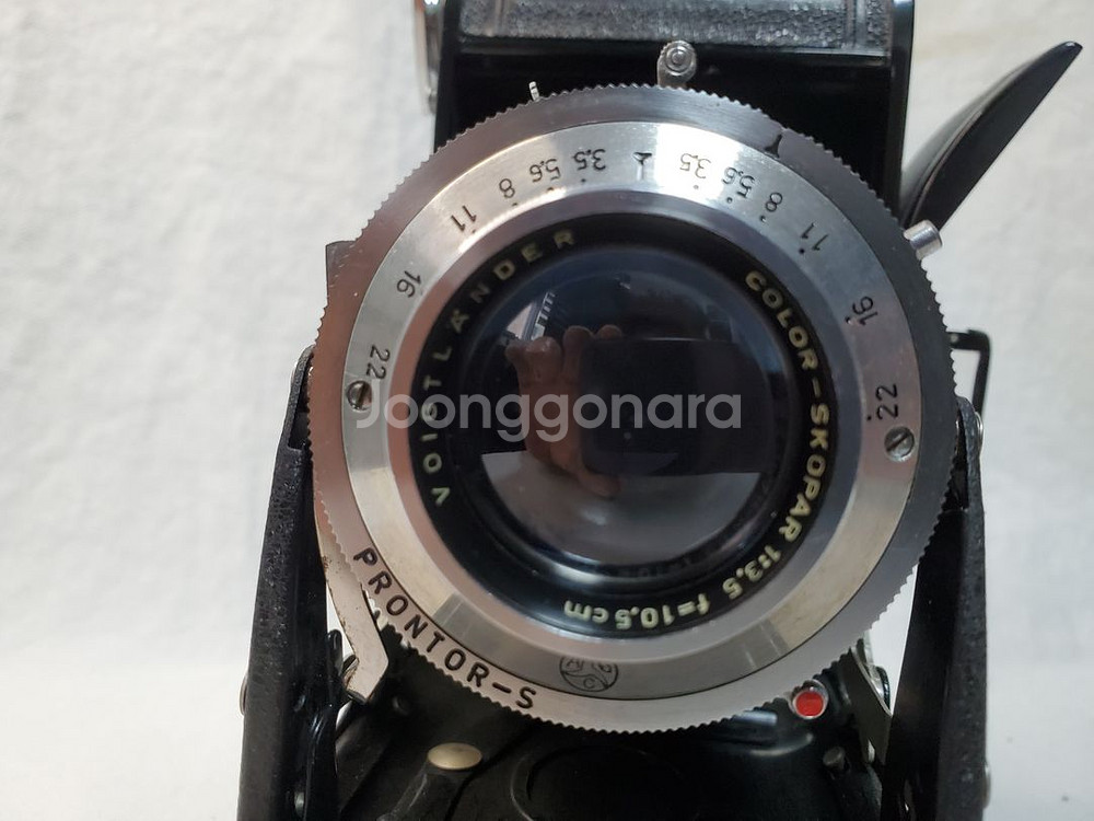 Voightlander Bessa 6x9 Format--2