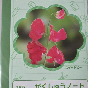 뱅드림 마이고 극장판 시초반 노트 팔아요 이미지