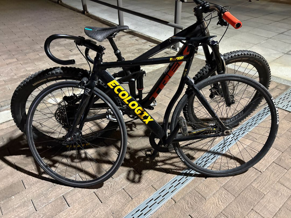 에콜로직스 랩소디(S사이즈) 급처 이미지