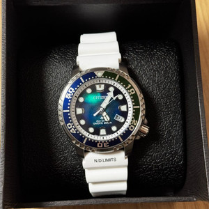 시티즌 프로마스터 다이버 시계