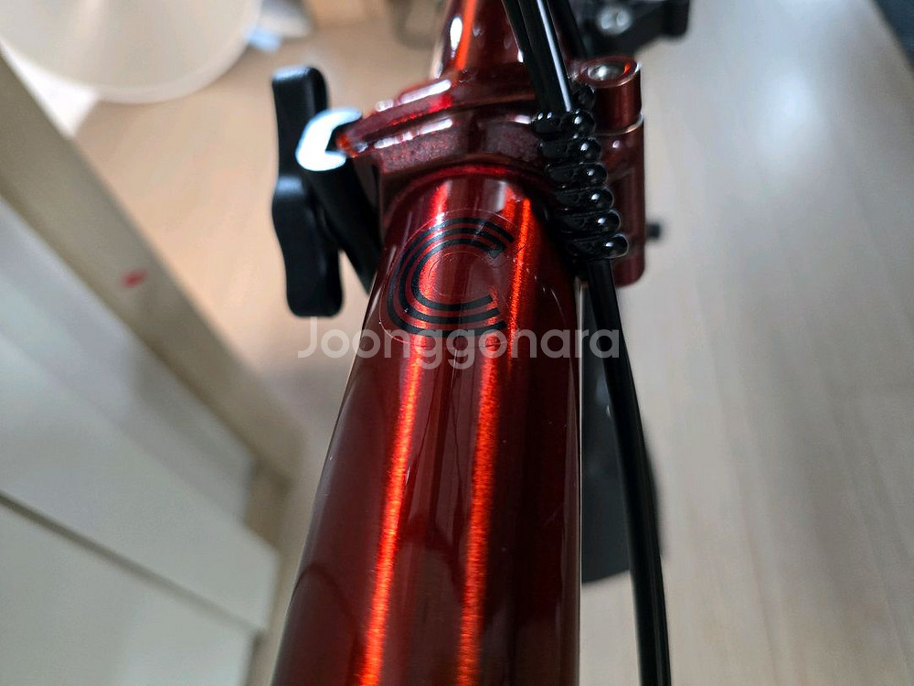 브롬톤 S2L 로우바 플레임라커--3