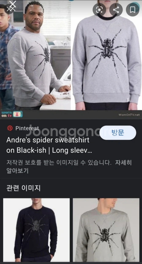 (가격인하) 정품 LANVIN 랑방 남성 스파이더 맨투맨 라지 [ Made in ITALY ]--3