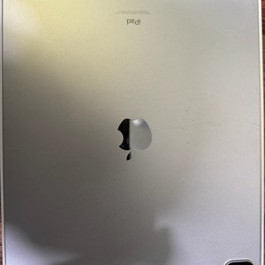 태블릿 11인치 256GB 셀룰러 + 전용 케이스