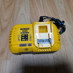 디월트 DCB118 고속 충전기