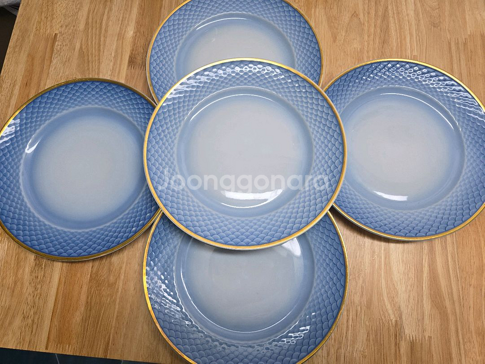 비앤그뢴달 디너접시--0