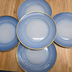 비앤그뢴달 디너접시