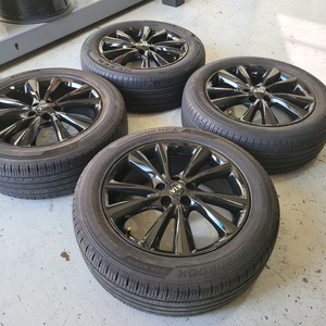 기아 더뉴카니발 19인치 순정휠타이어 한대분