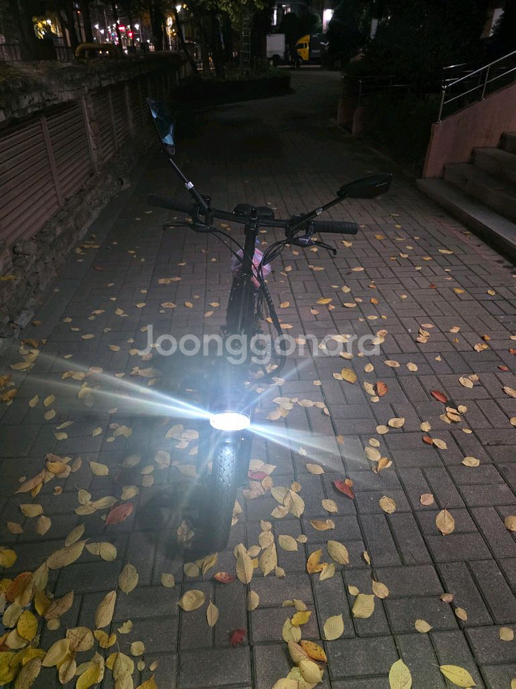 퀄리 엑스트론프로미니 접이식 전기자전거 급매 배터리 2개 30ah--1