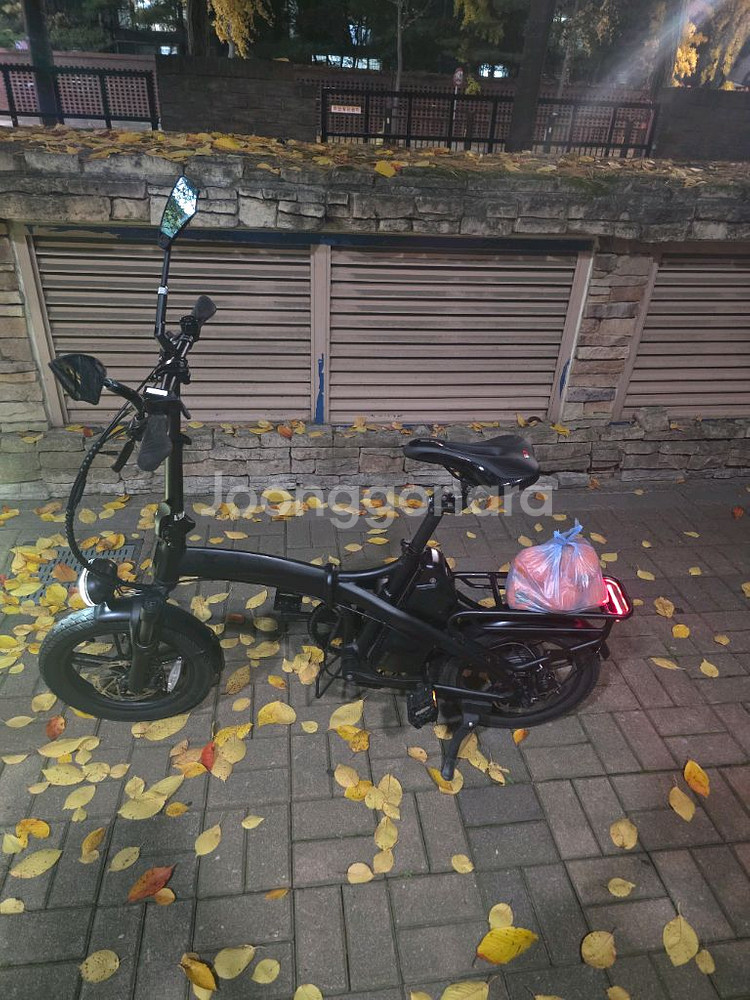 퀄리 엑스트론프로미니 접이식 전기자전거 급매 배터리 2개 30ah--0