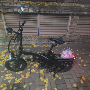 퀄리 엑스트론프로미니 접이식 전기자전거 급매 배터리 2개 30ah