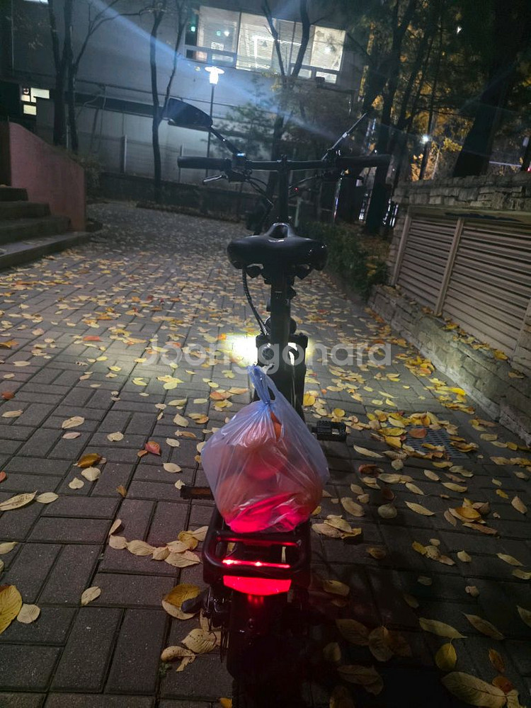 퀄리 엑스트론프로미니 접이식 전기자전거 급매 배터리 2개 30ah--2