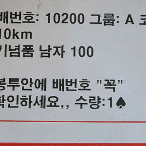 ytn 마라톤 대회 10K 남자100