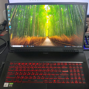 MSI 게이밍 노트북 i7 RTX 3050 17인치 32램