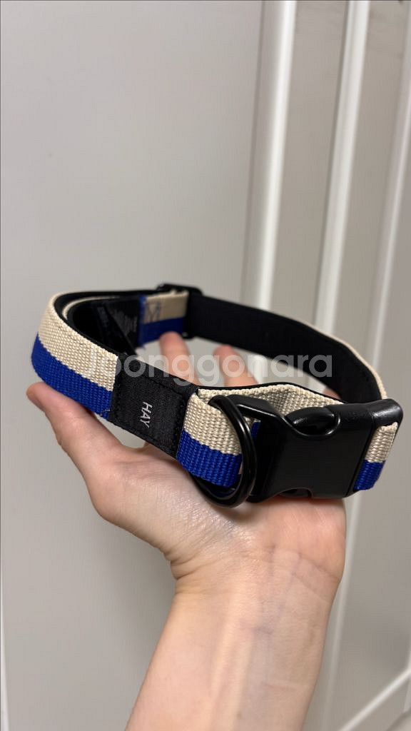 hay 강아지 목줄 미사용품 택포--0