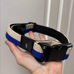 hay 강아지 목줄 미사용품 택포