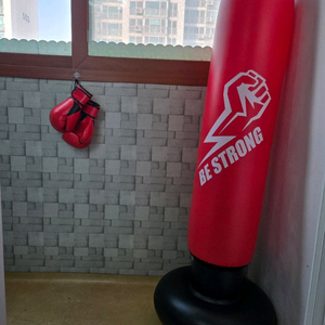 이벤트) 마지막 가격 인하 글러브&에어 샌드백