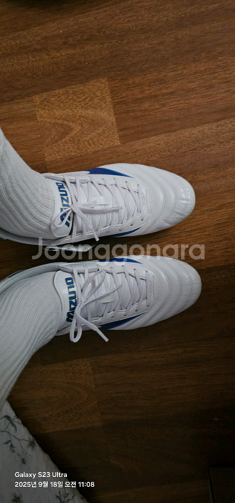 미즈노 축구화.풋살화.축구공 일괄--0