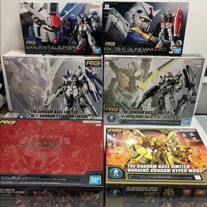 RG 사자비 메탈릭코어코팅 갓건담 하이퍼 코팅 풀 버니언 미개봉 미조립 새상품
